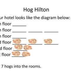 Hog hilton answer key pdf