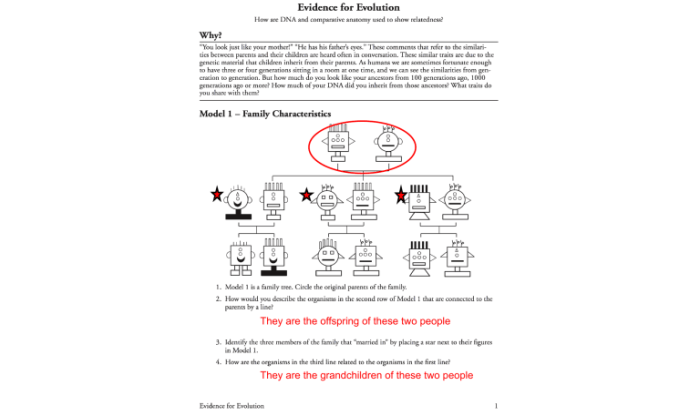 Evolution and selection pogil answers