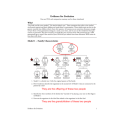 Evolution and selection pogil answer key