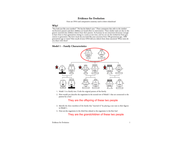 Evolution and selection pogil answer key