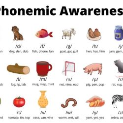 Awareness phonemic phoneme segmentation words phonemes phonological phonics maketaketeach cvc