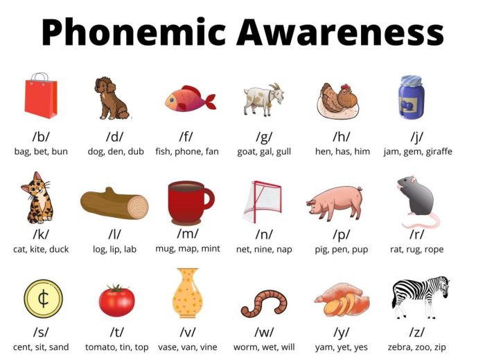 Awareness phonemic phoneme segmentation words phonemes phonological phonics maketaketeach cvc