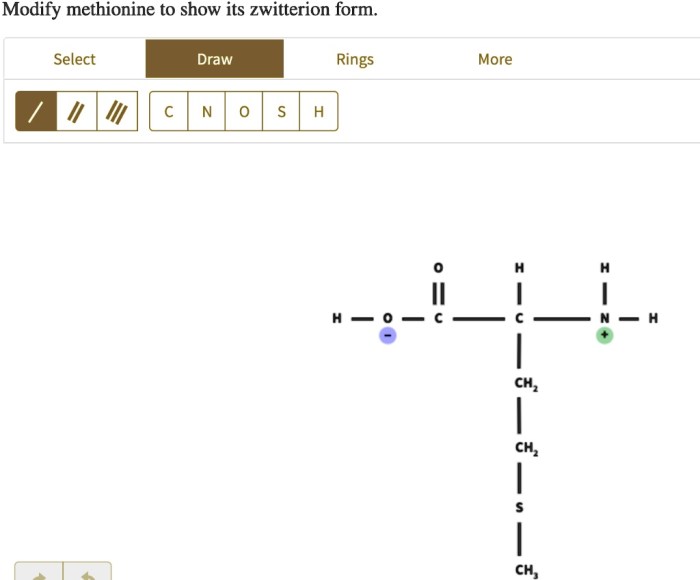 Modify methionine to show its zwitterion form