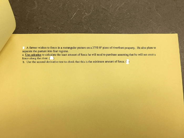 A farmer plans to fence a rectangular pasture