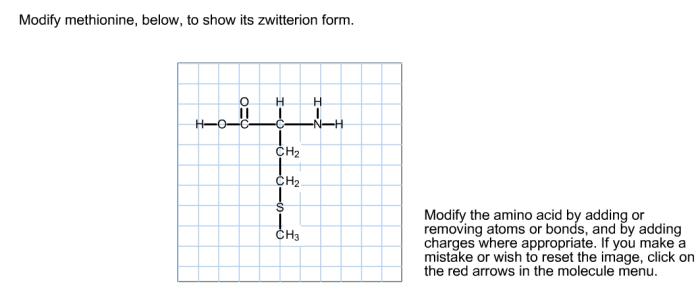 Modify methionine to show its zwitterion form