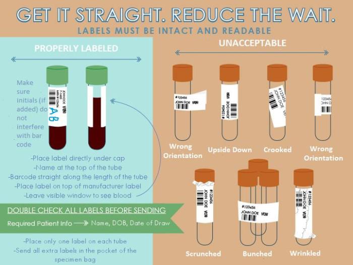 Labeling exercise 8-2 requisition and blood specimen label